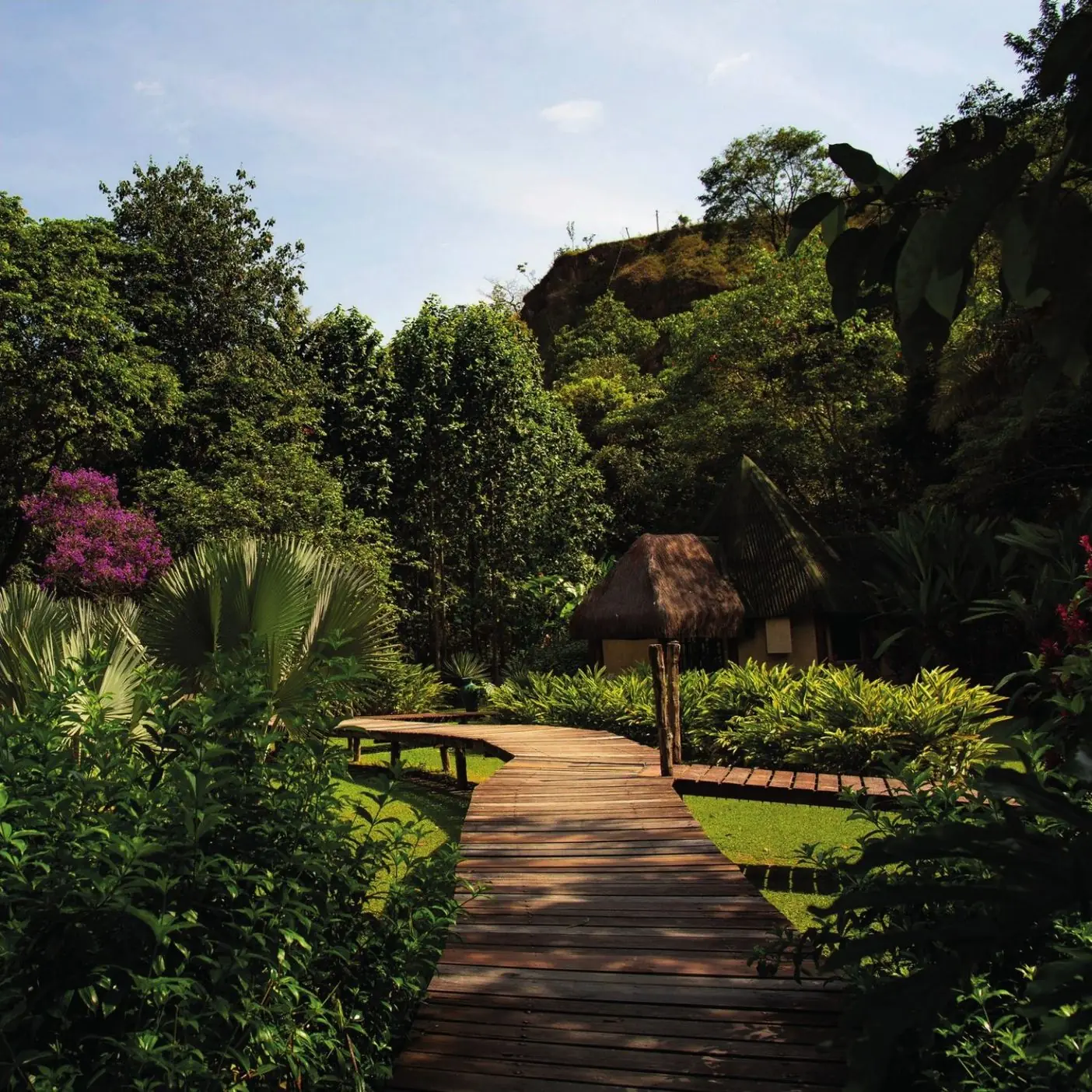 Deck de madeira em meio ao jardim projetado
