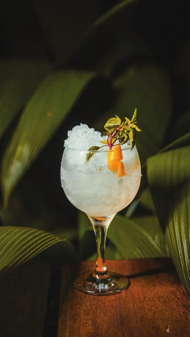Drink autoral servido na fazenda